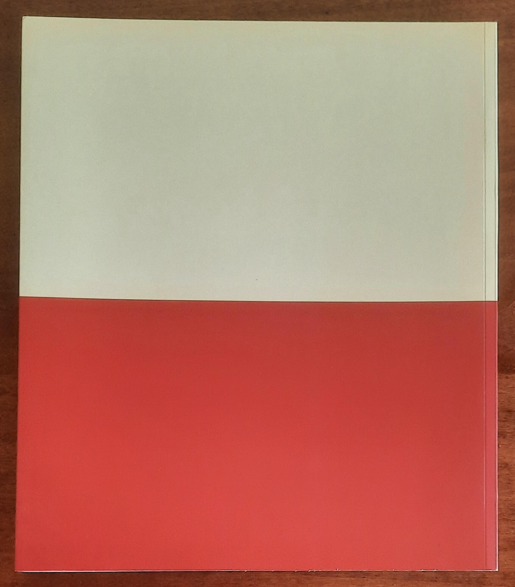 Gente del Piazzo - Eventi & Progetti Editore - 2005