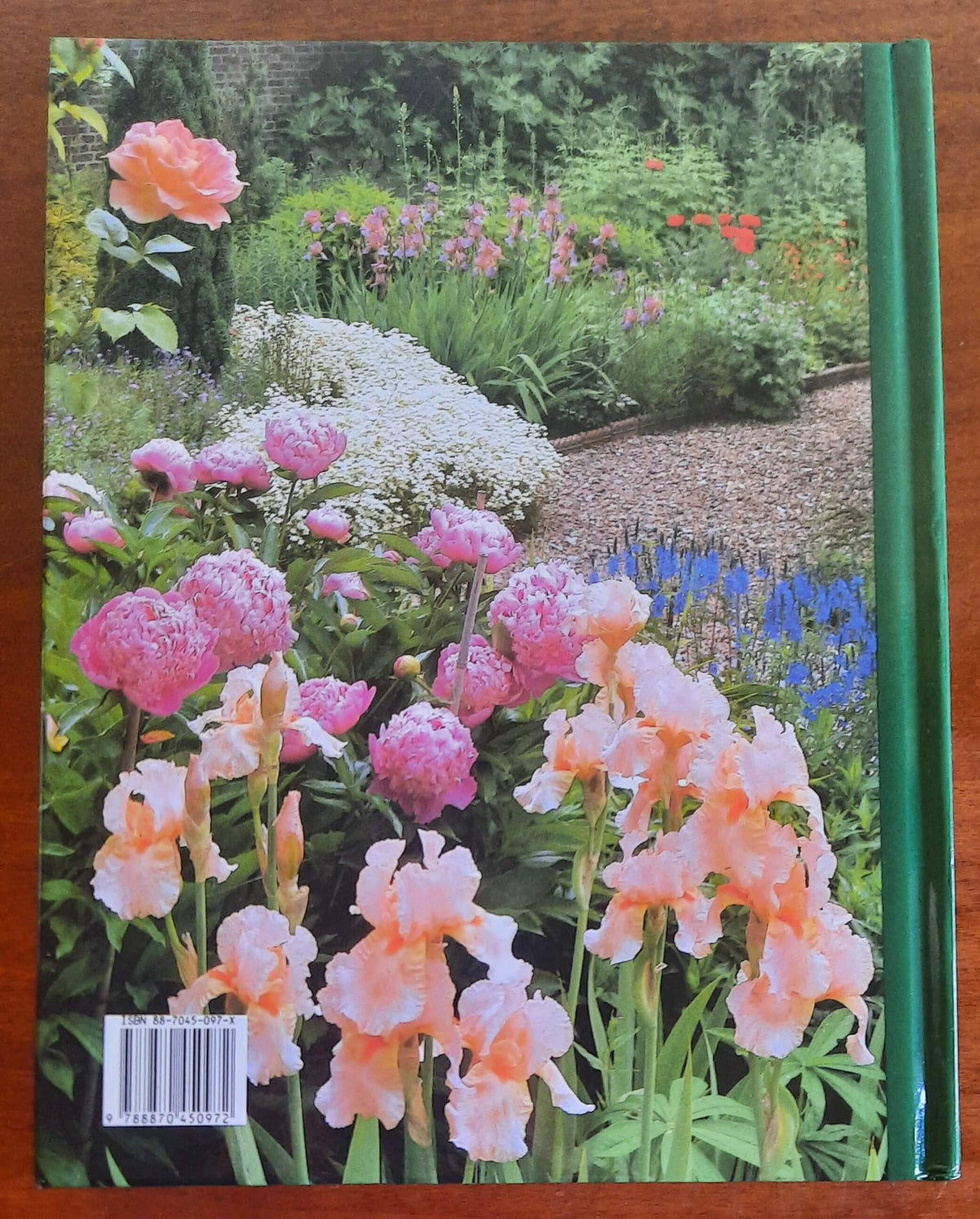 Giardinaggio. Domande e risposte - Selezione Dal Reader’s Digest