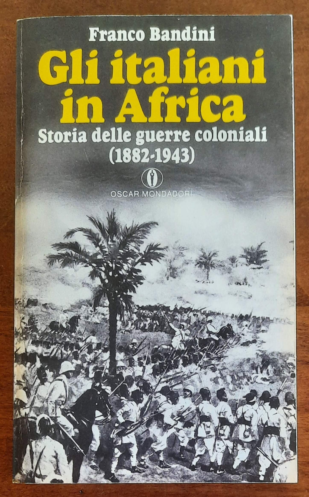 Gli italiani in Africa. Storia delle guerre coloniali (1882-1943)