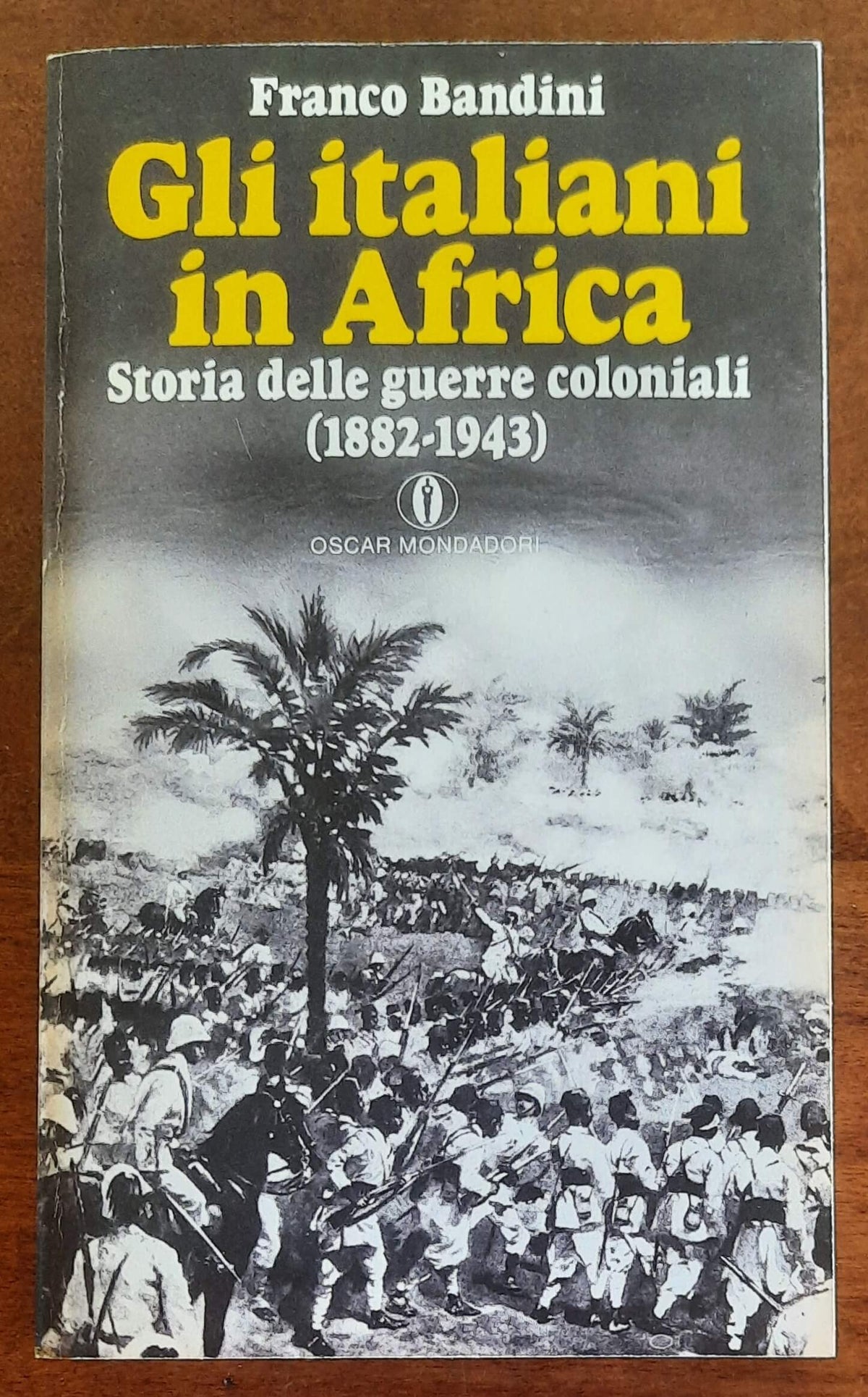 Gli italiani in Africa. Storia delle guerre coloniali (1882-1943)