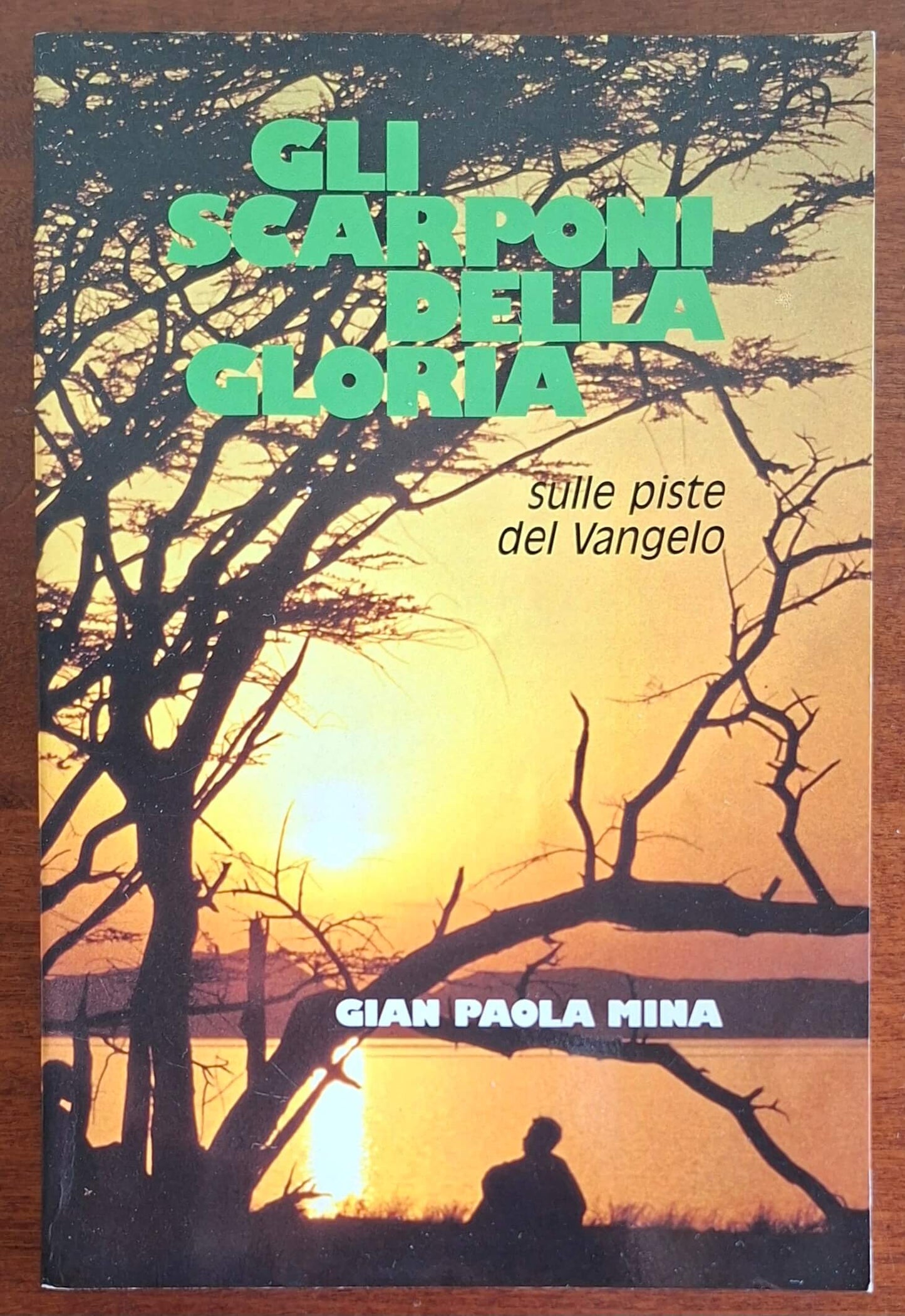 Gli scarponi della gloria. Sulle piste del Vangelo. Suor Irane Stefani 1891 - 1930