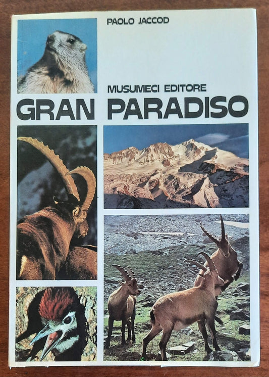 Gran Paradiso - Musumeci Editore