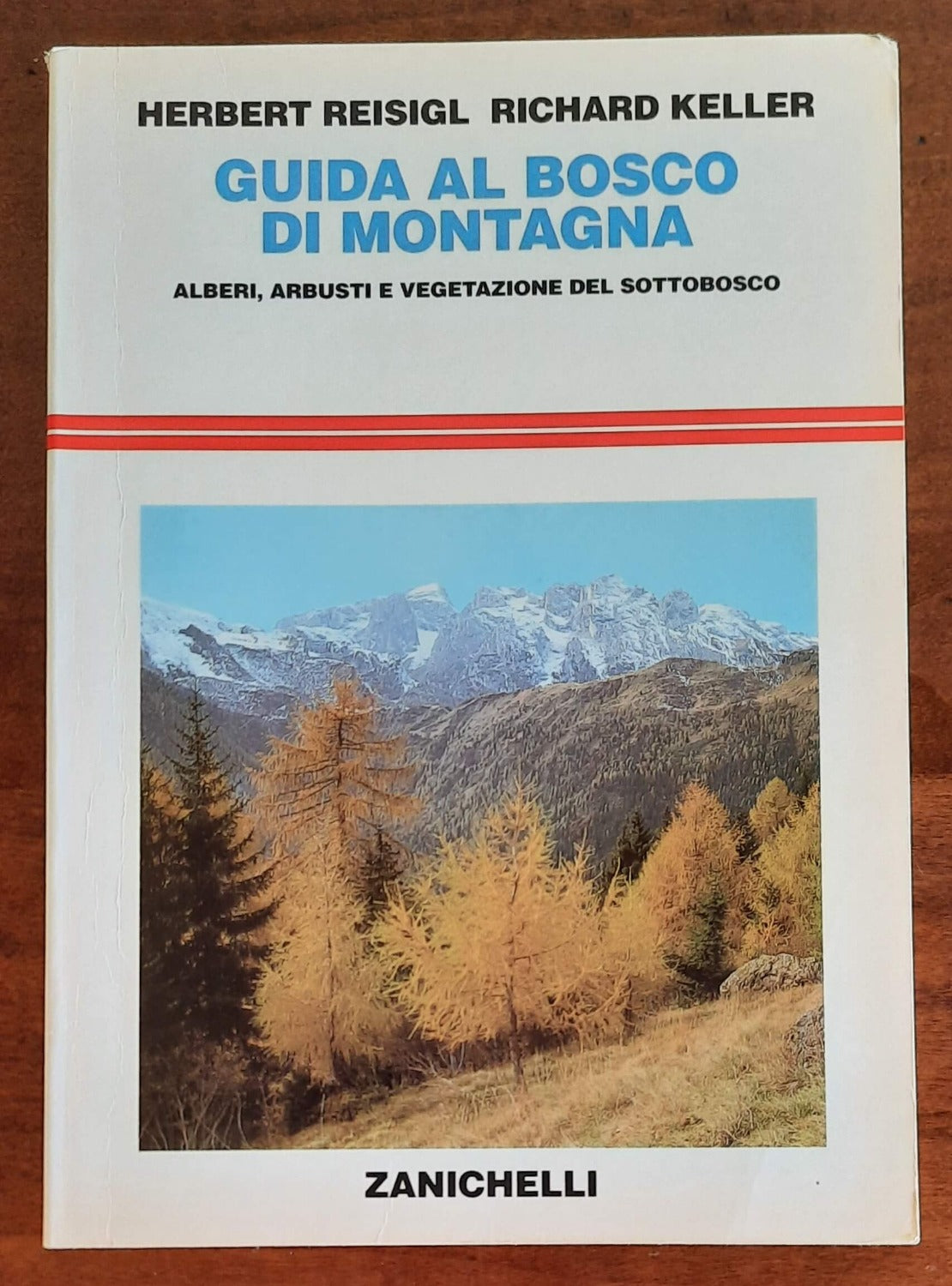 Guida al bosco di montagna. Alberi, arbusti e vegetazione del sottobosco