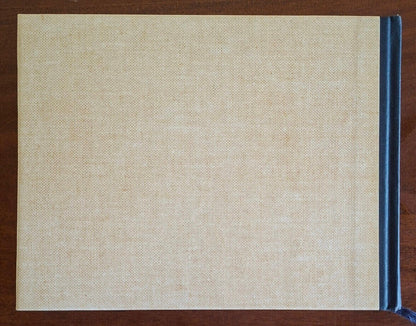 Guida pratica agli alberi e arbusti in Italia - Selezione Dal Reader’s Digest