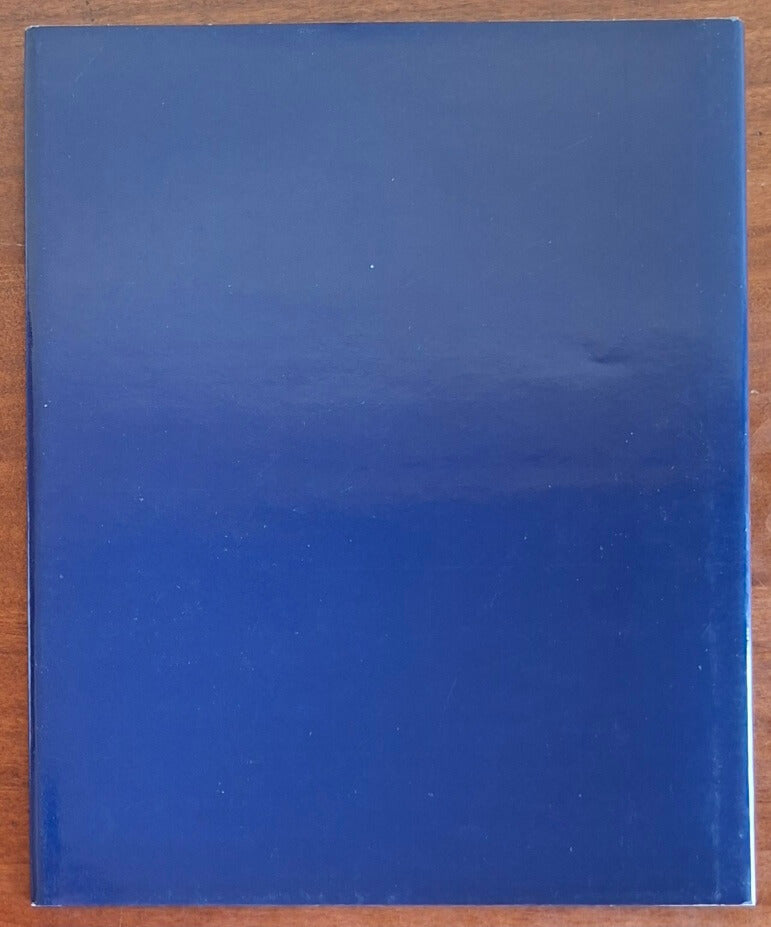 I castelli biellesi - Luigi Spina - Biverbanca Silvana Editoriale
