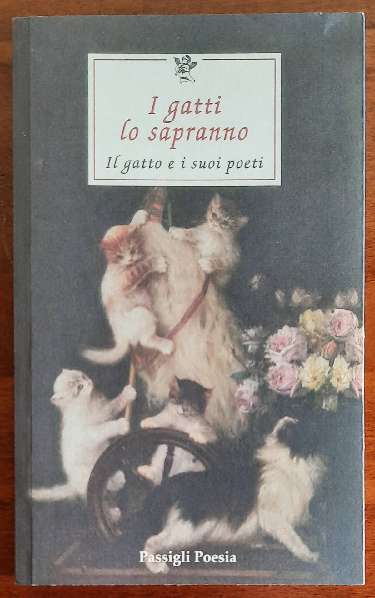 I gatti lo sapranno. Il gatto e i suoi poeti - Passigli Editori