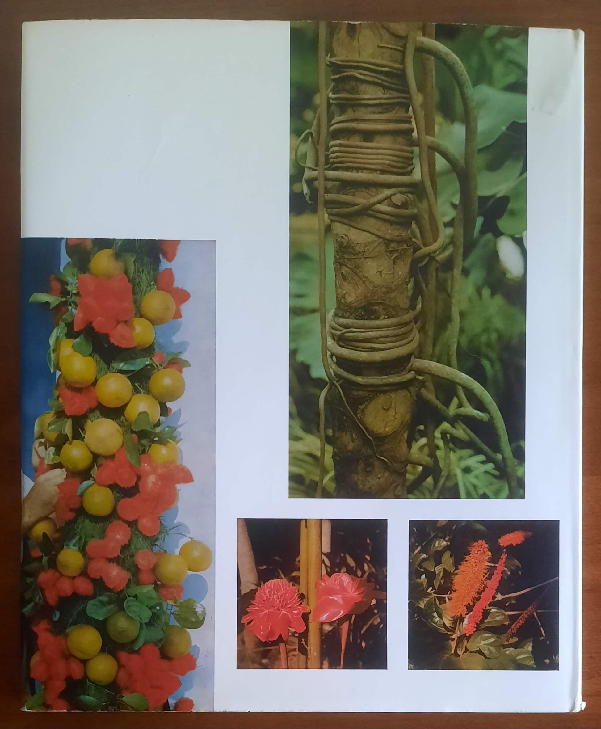 I giardini tropicali di Burle Marx - P.M. Bardi - Gorlich Editore