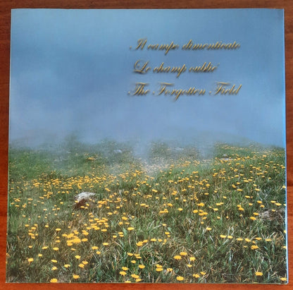 Il Campo dimenticato - Edizioni Lassù Gli Ultimi - Gianfranco Bini