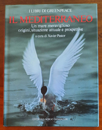 Il Mediterraneo. Un mare meraviglioso. Origini, situazione attuale e prospettive