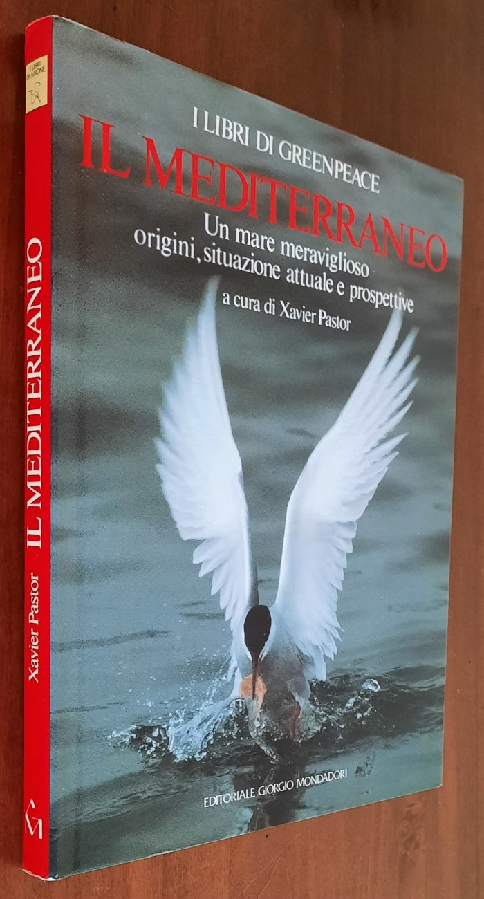 Il Mediterraneo. Un mare meraviglioso. Origini, situazione attuale e prospettive - Libreria Biellese