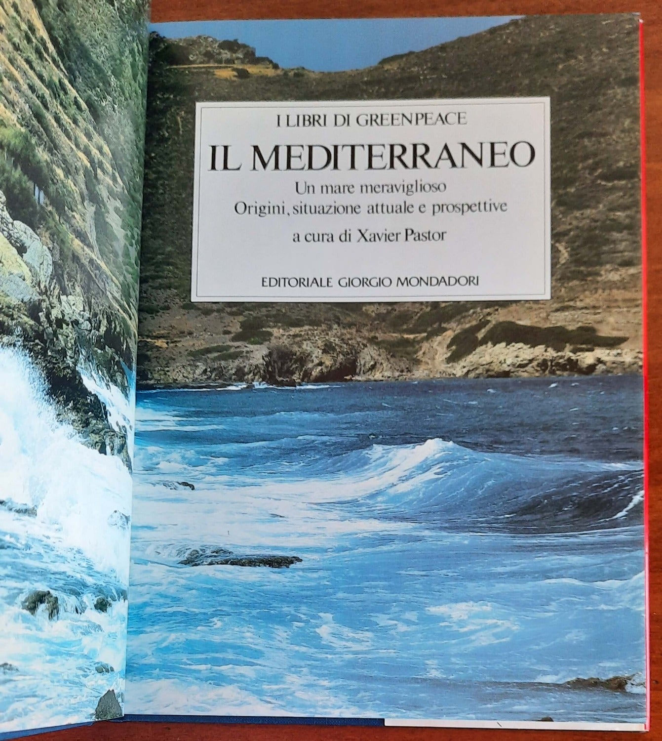 Il Mediterraneo. Un mare meraviglioso. Origini, situazione attuale e prospettive