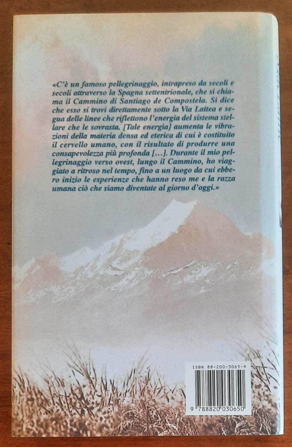 Il cammino. Il mio pellegrinaggio verso Santiago de Compostela