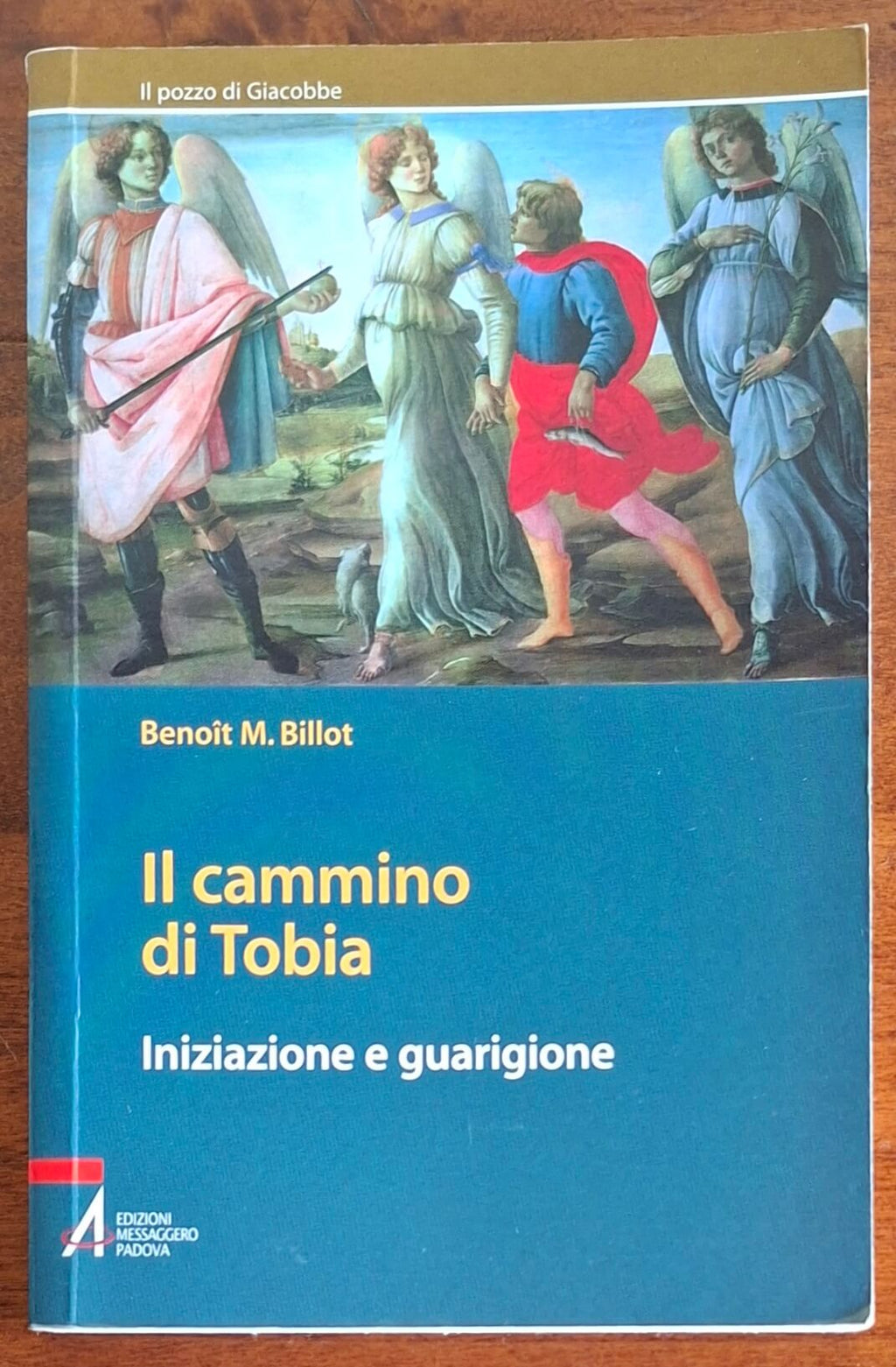 Il cammino di Tobia. Iniziazione e guarigione - Benoit M. Billot