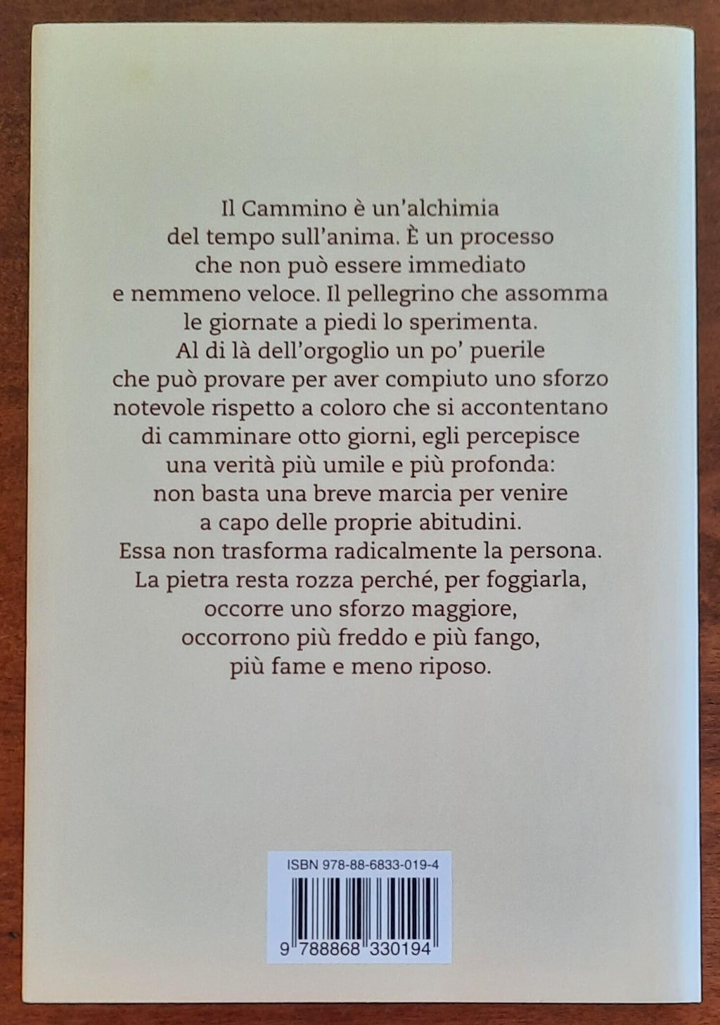 Il cammino immortale. La strada per Santiago