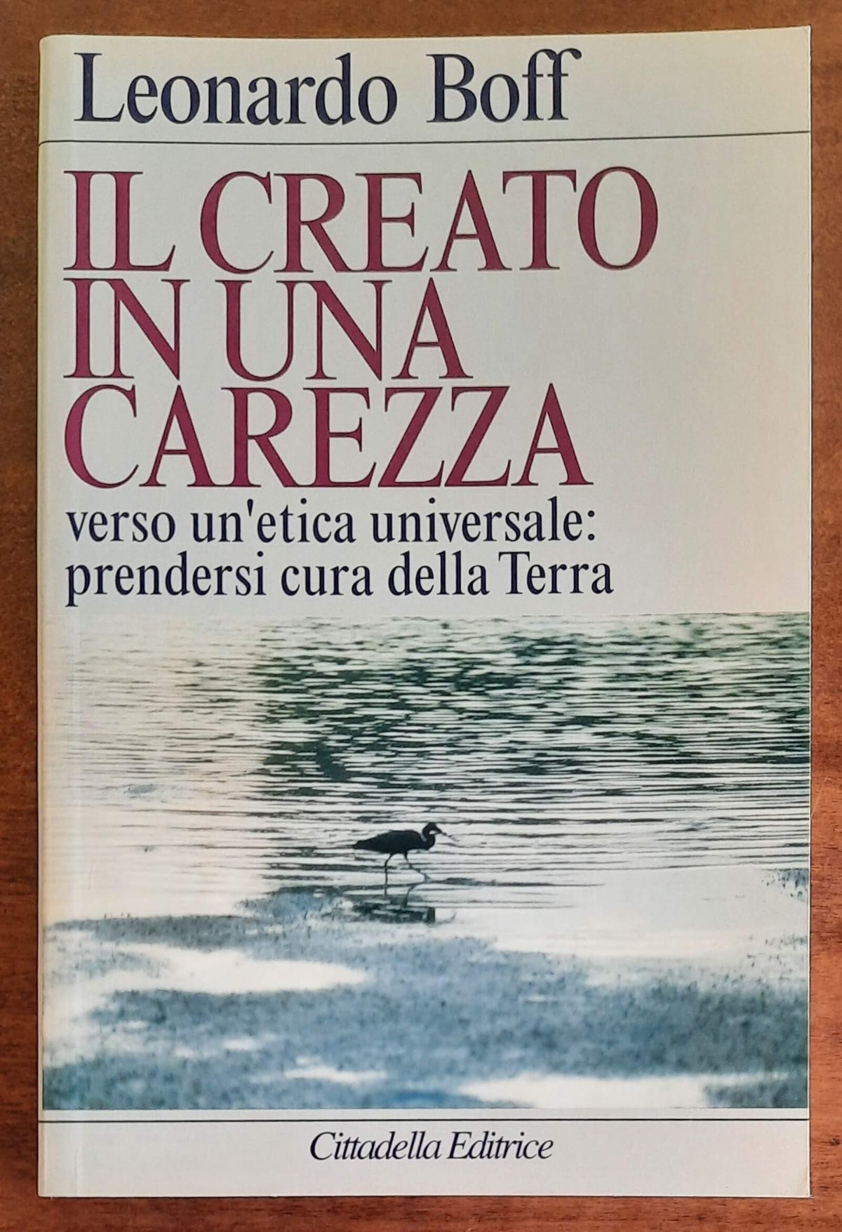 Il creato in una carezza. Verso un’etica universale: prendersi cura della Terra