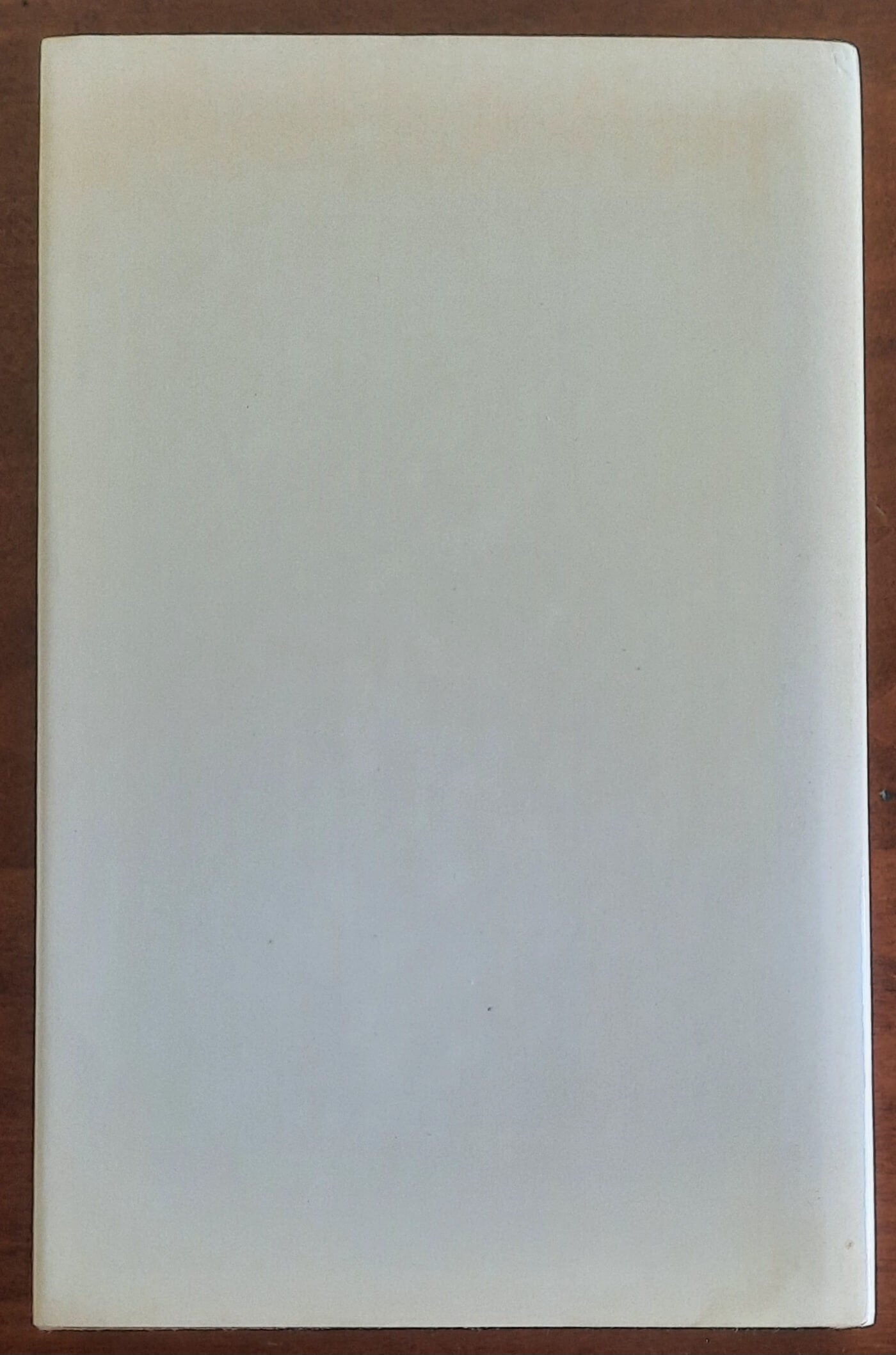 Il grande affare del sassolino - di James Grady - Rizzoli