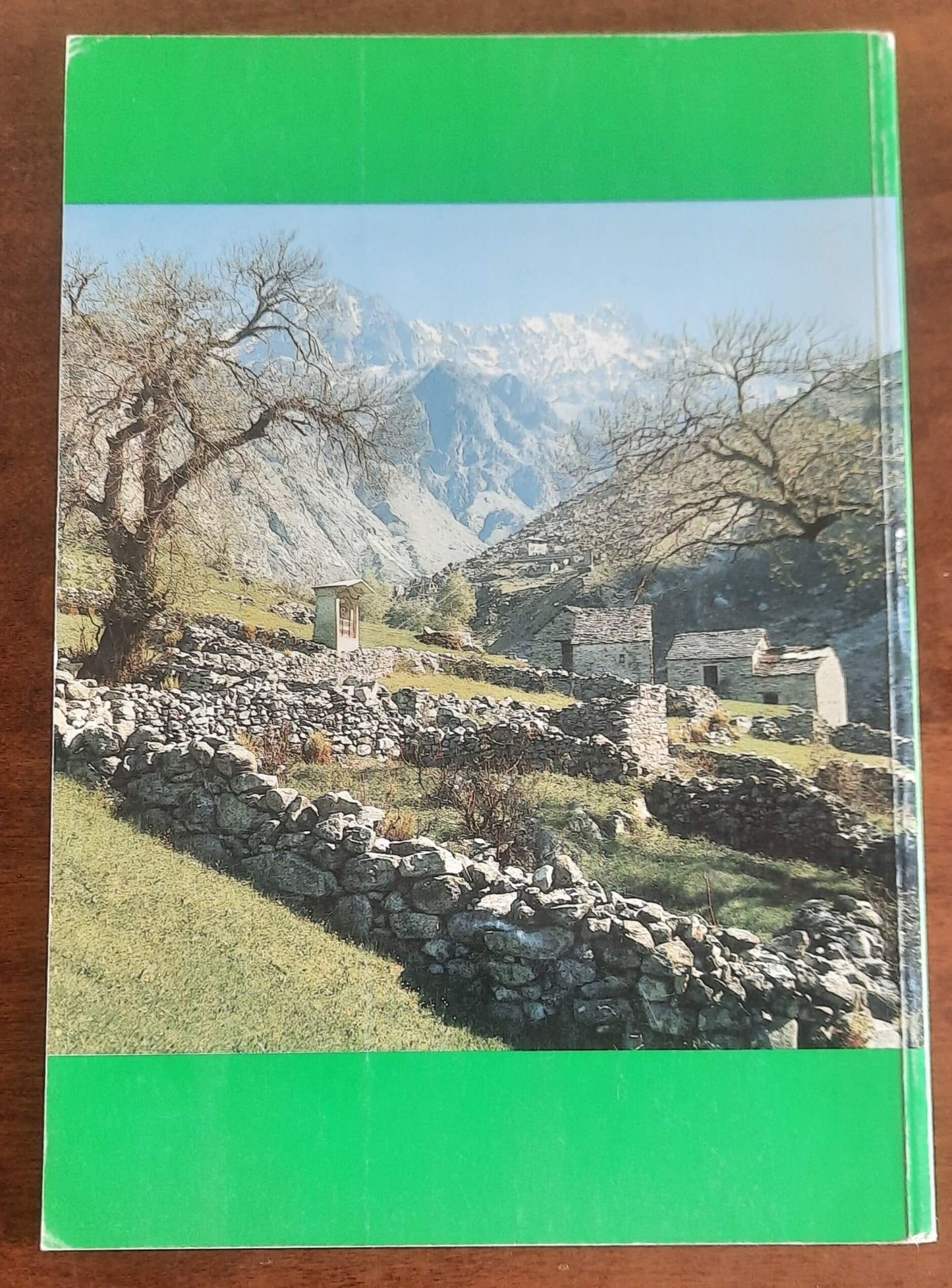 Il lago di Como e la Valtellina - Magalini Editrice