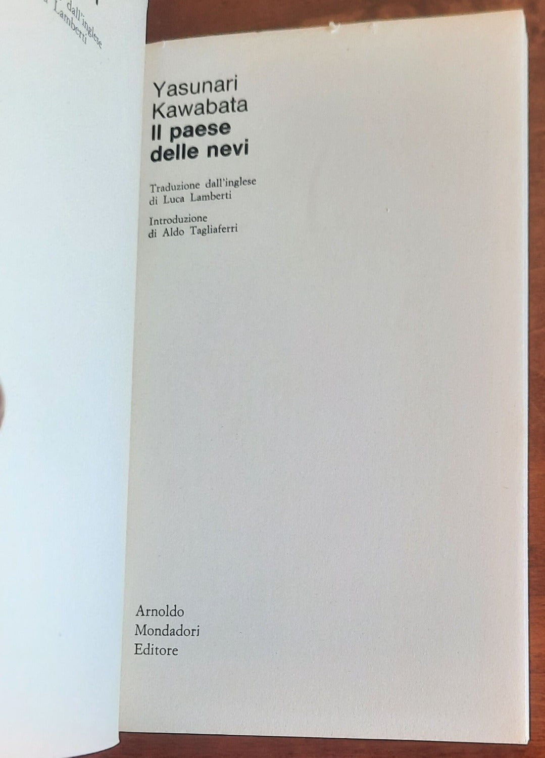 Il paese delle nevi