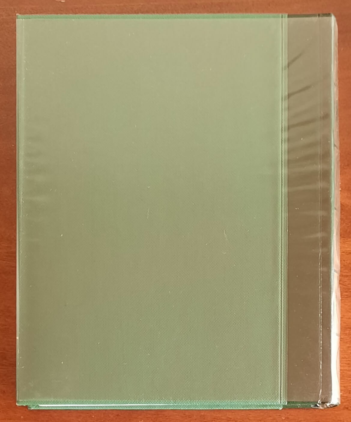 Il santo Vangelo - Fedele Pasquero - Edizioni Paoline