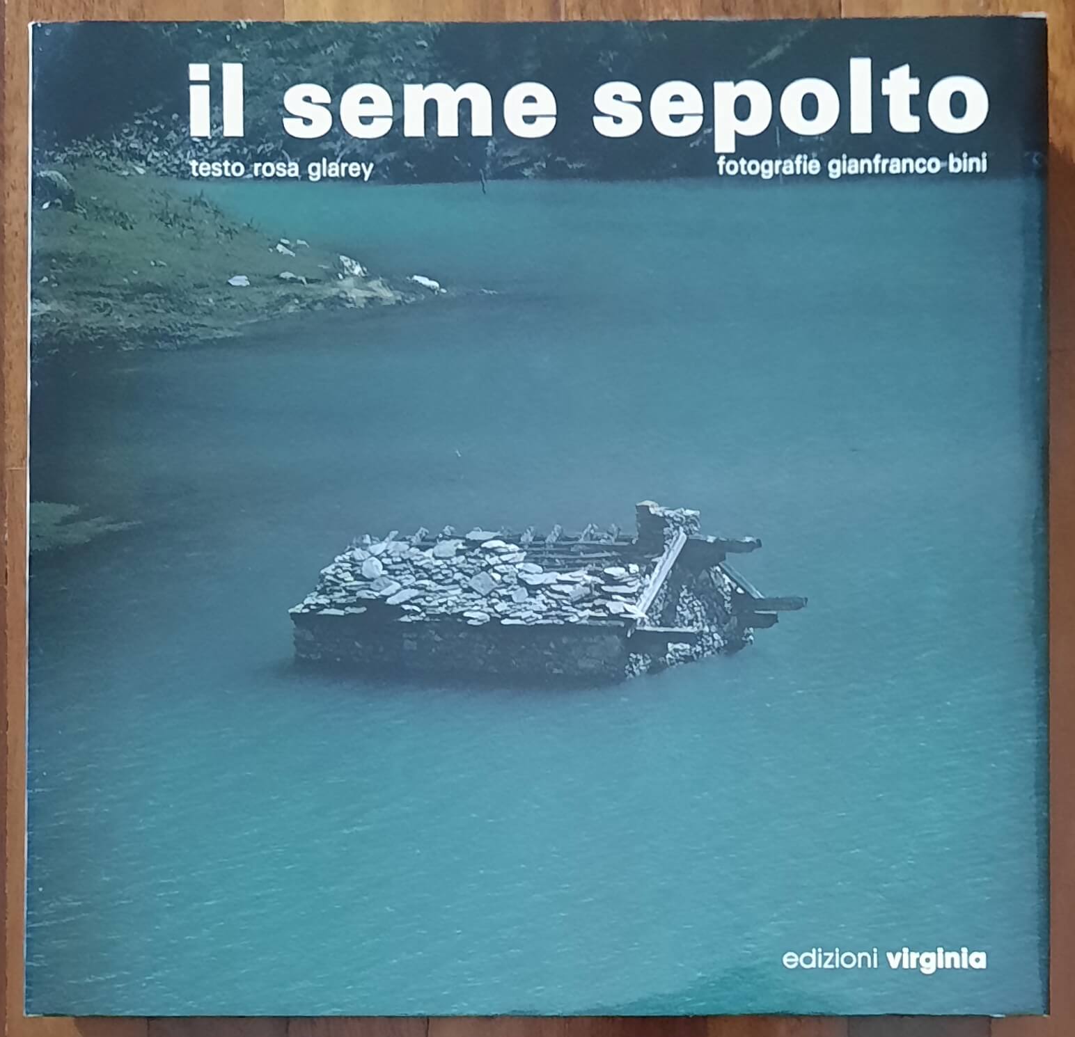 Il seme sepolto - di Gianfranco Bini - Edizioni Virginia - 1982