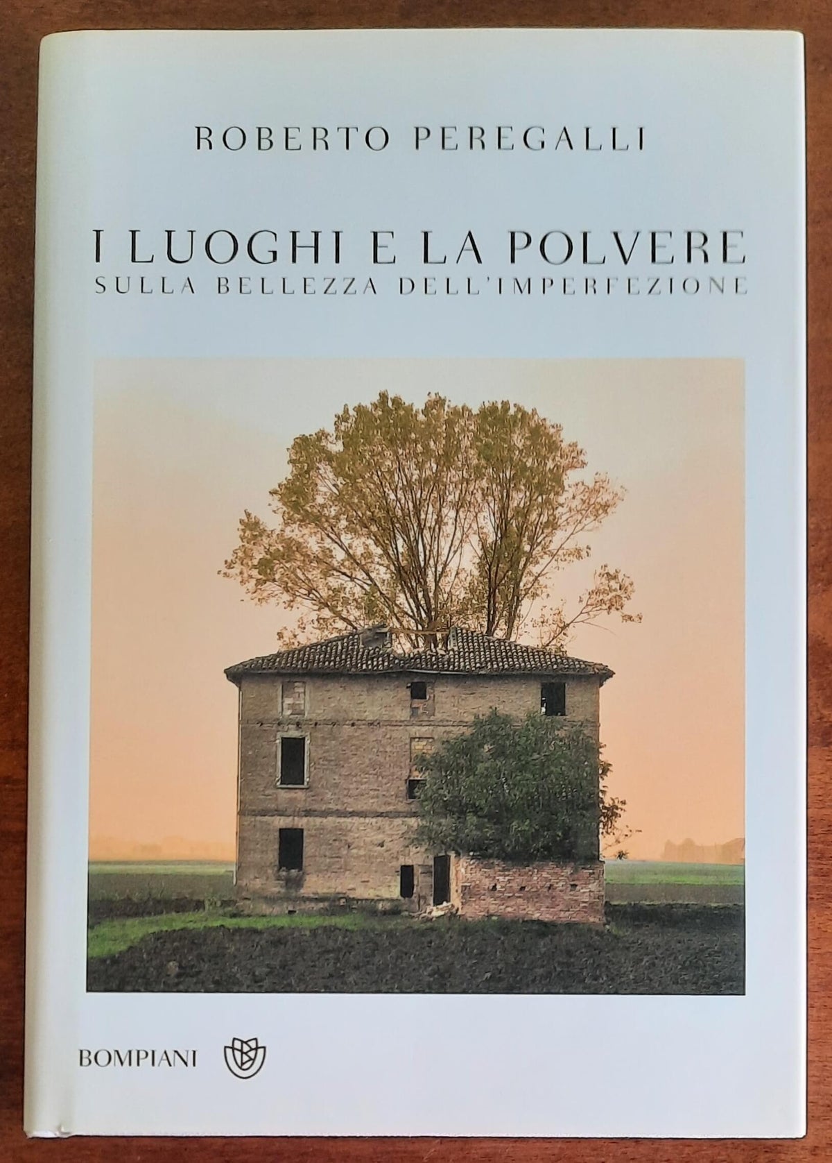 I luoghi e la polvere. Sulla bellezza dell’imperfezione - Bompiani