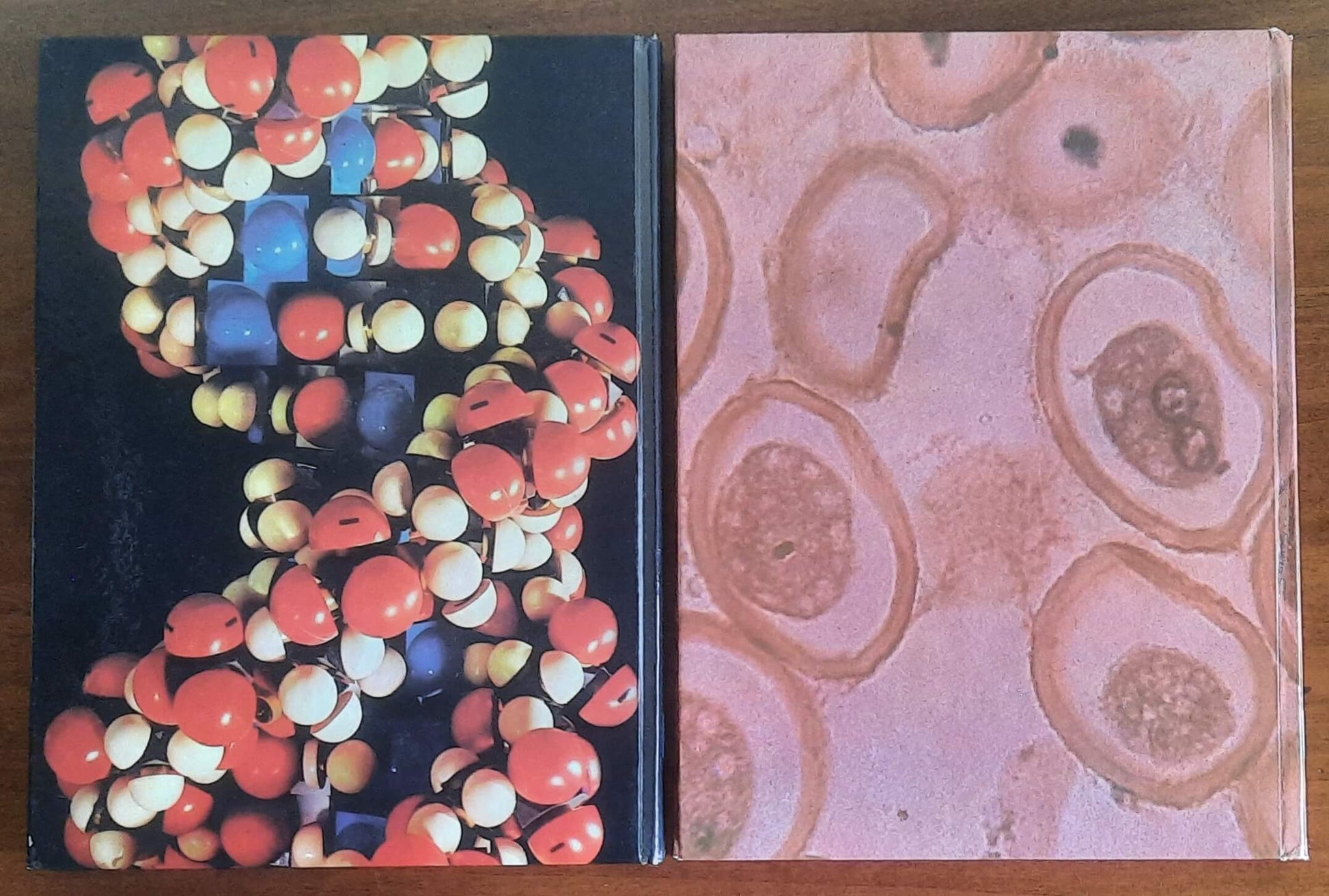 I misteri delle origini della vita - in due vol. - Edizioni Ferni