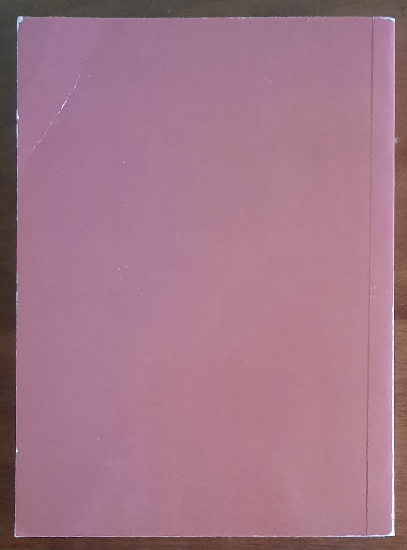 In cammino... Guida alla preghiera del pellegrino - Opera Diocesana Pellegrinaggi