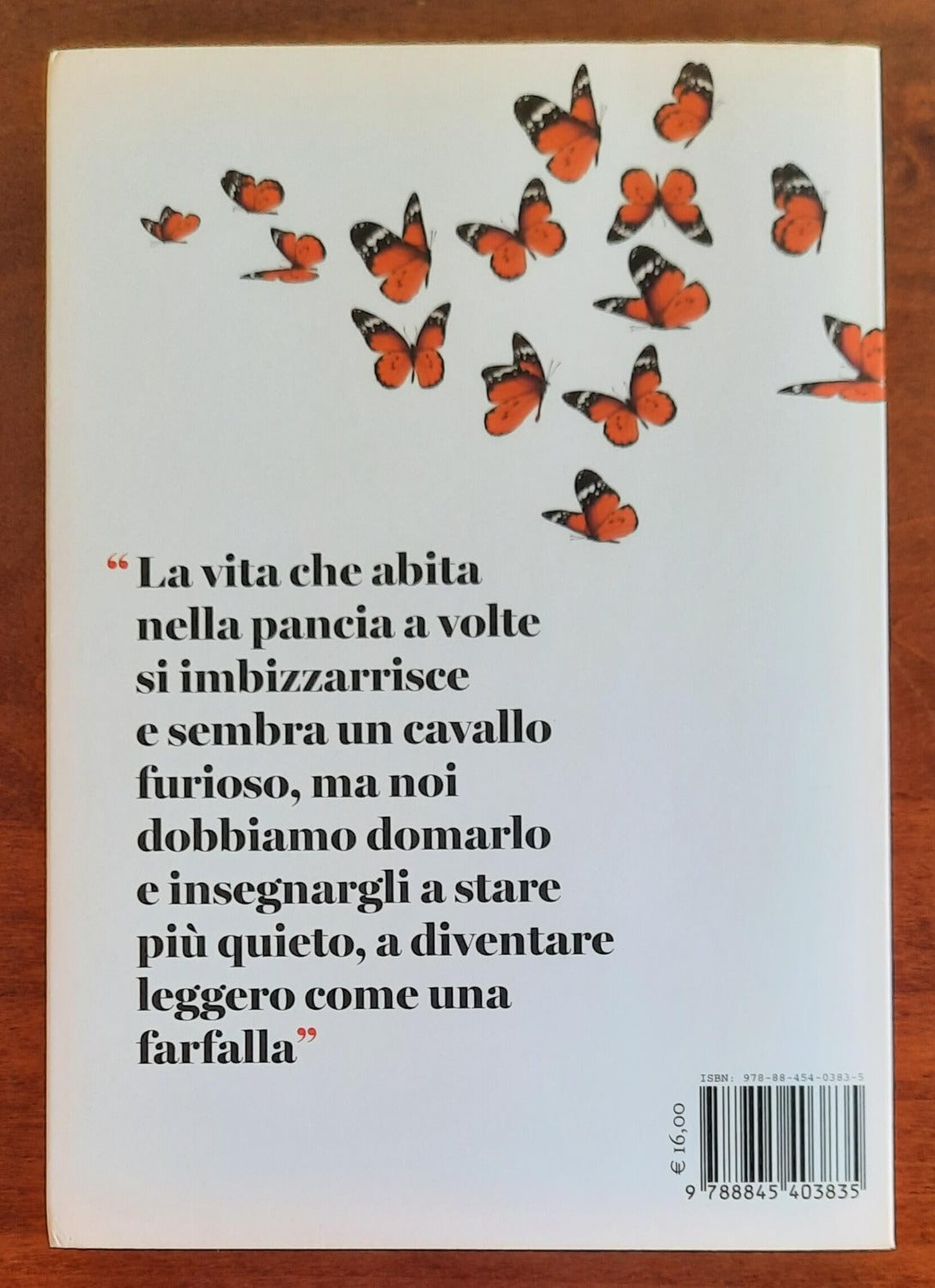 In pace con la pancia. Stomaco e intestino felici: le 100 risposte che ti cambiano la vita - Libreria Biellese