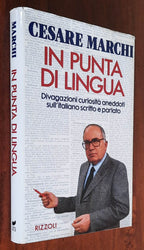 In punta di lingua. Divagazioni curiosità aneddoti sull’italiano scritto e parlato
