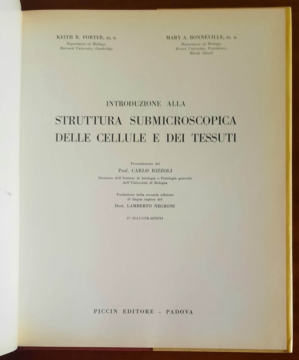 Introduzione alla struttura submicroscopica delle cellule e dei tessuti