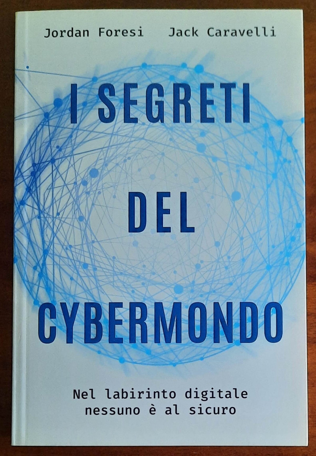 I segreti del cybermondo. Nel labirinto digitale nessuno è al sicuro