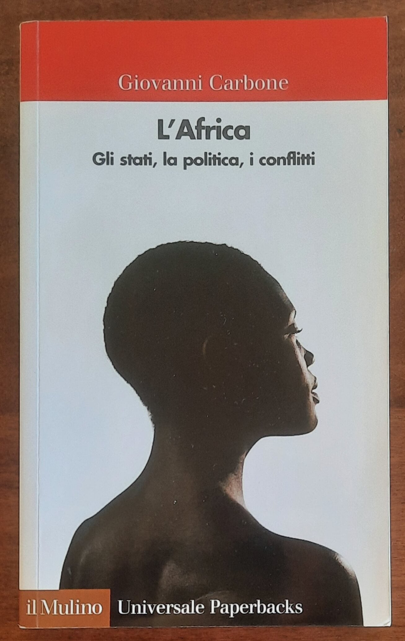 L’Africa. Gli stati, la politica, i conflitti - Giovanni Carbone - Il Mulino
