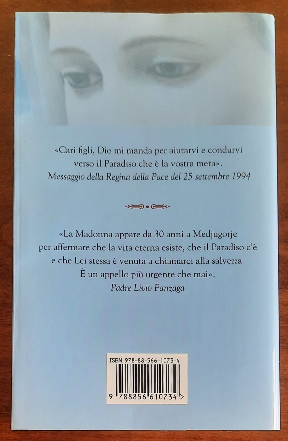 L’ aldilà nei messaggi di Medjugorje. La Regina della Pace chiama l’umanità alla salvezza