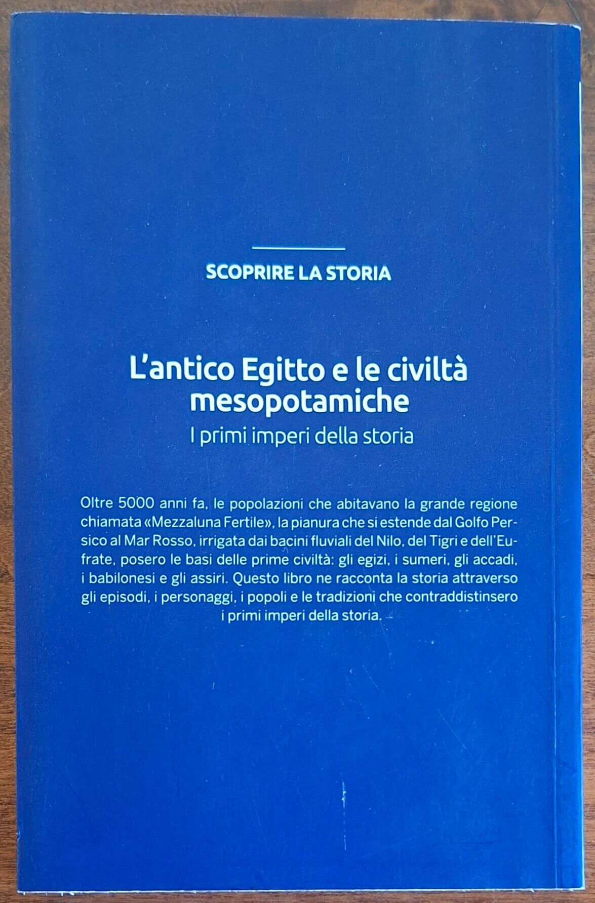 L'antico Egitto e le civiltà mesopotamiche. I primi imperi della storia