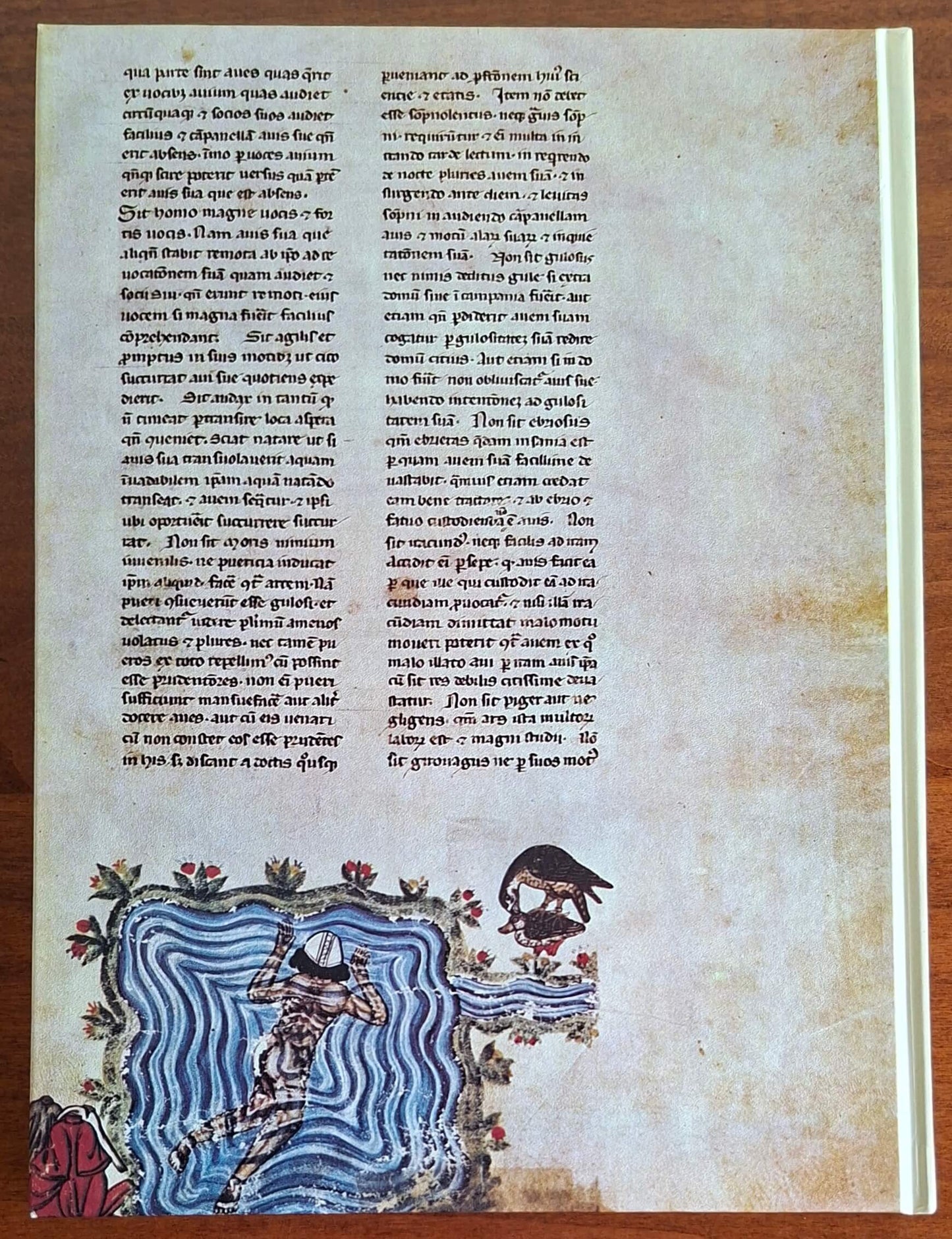 L'arte del Duecento in Puglia - San Paolo - 1984