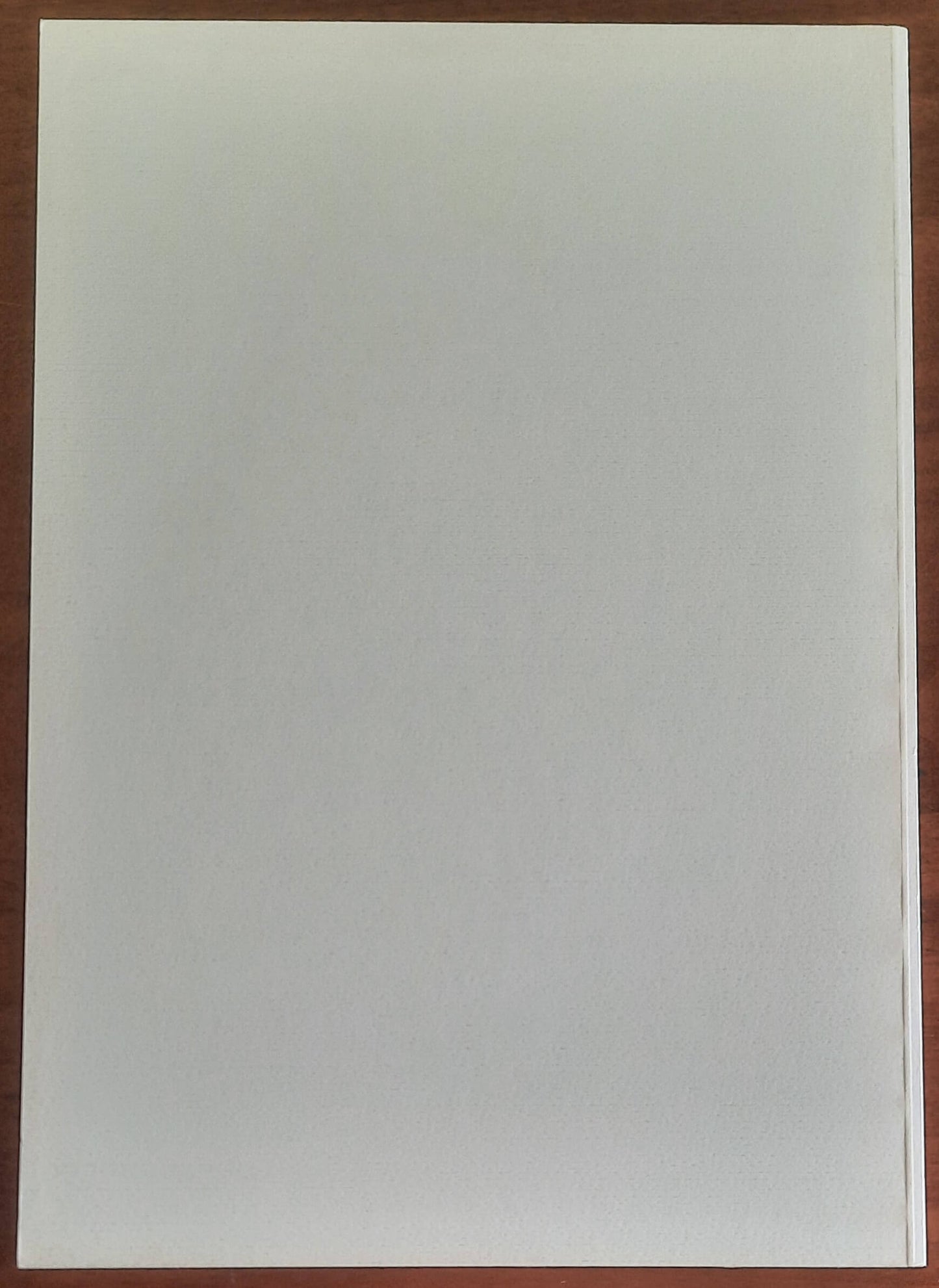 L’etnia dei Mossi. Note di storia di Rialmosso (Quittengo) tratte dall’Archivio Parrocchiale (1602-1949)