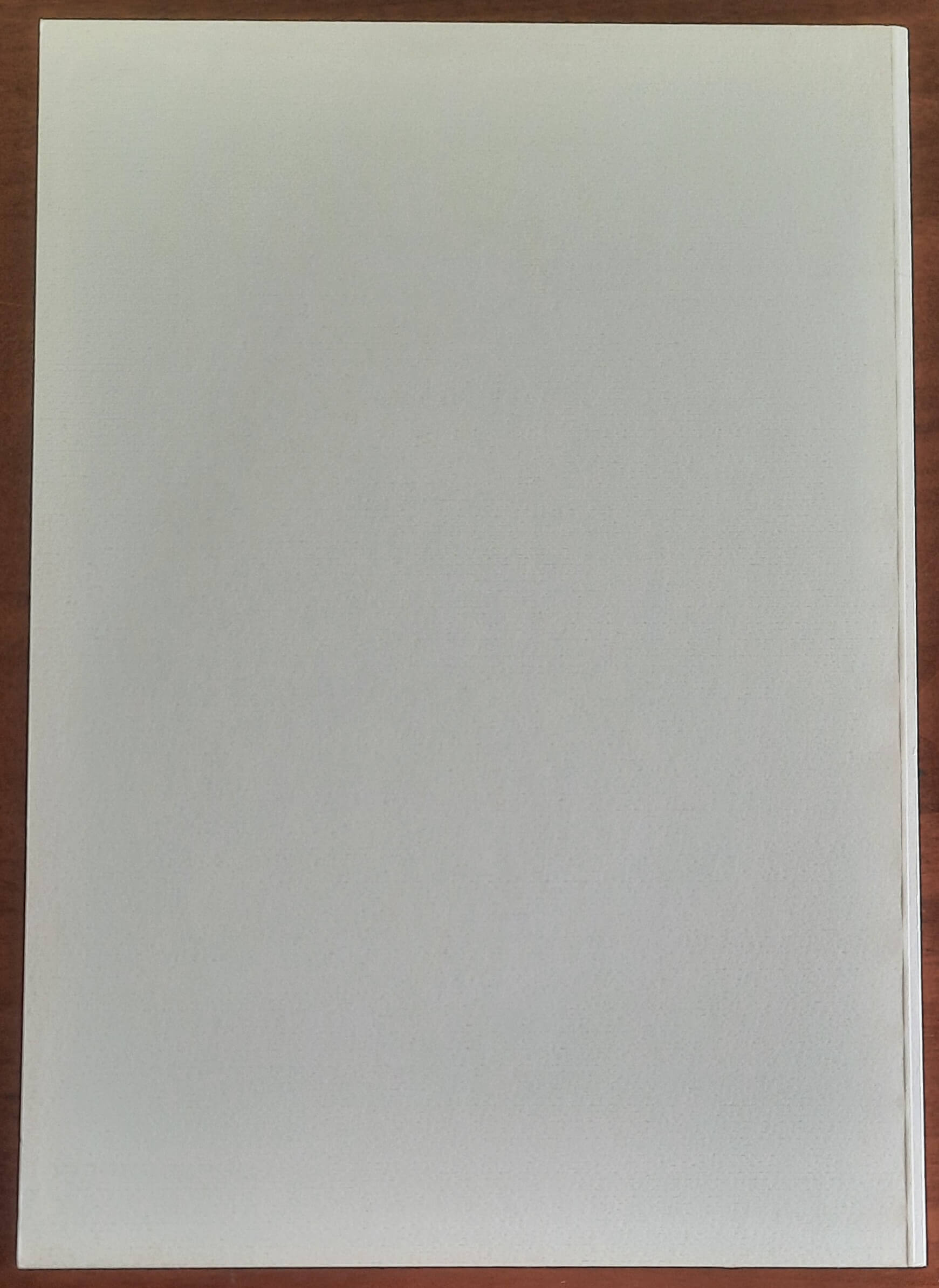 L’etnia dei Mossi. Note di storia di Rialmosso (Quittengo) tratte dall’Archivio Parrocchiale (1602-1949)