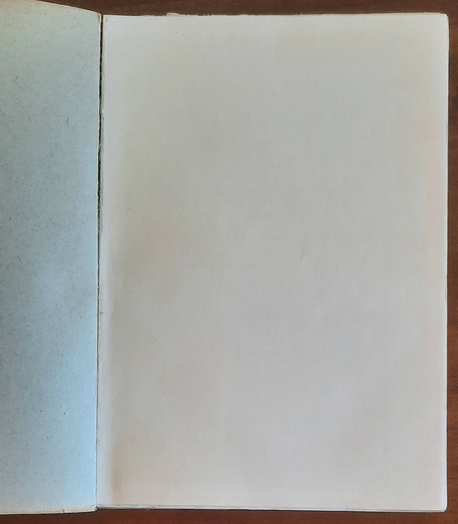 L’identificazione dei legnami - Giovanni Cecchini - Hoepli