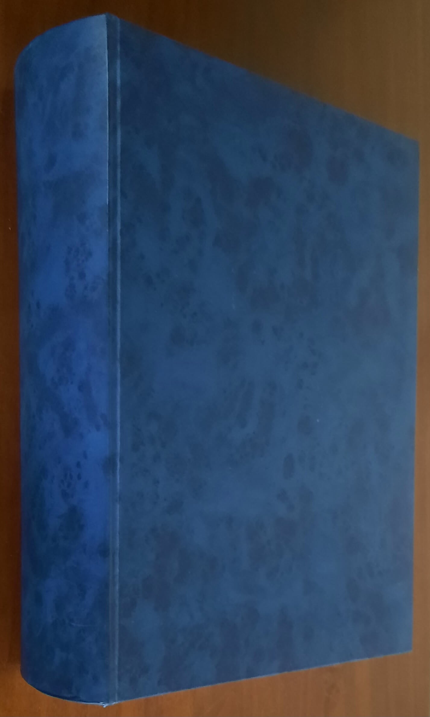 L'industria laniera in Piemonte nel secolo XIX