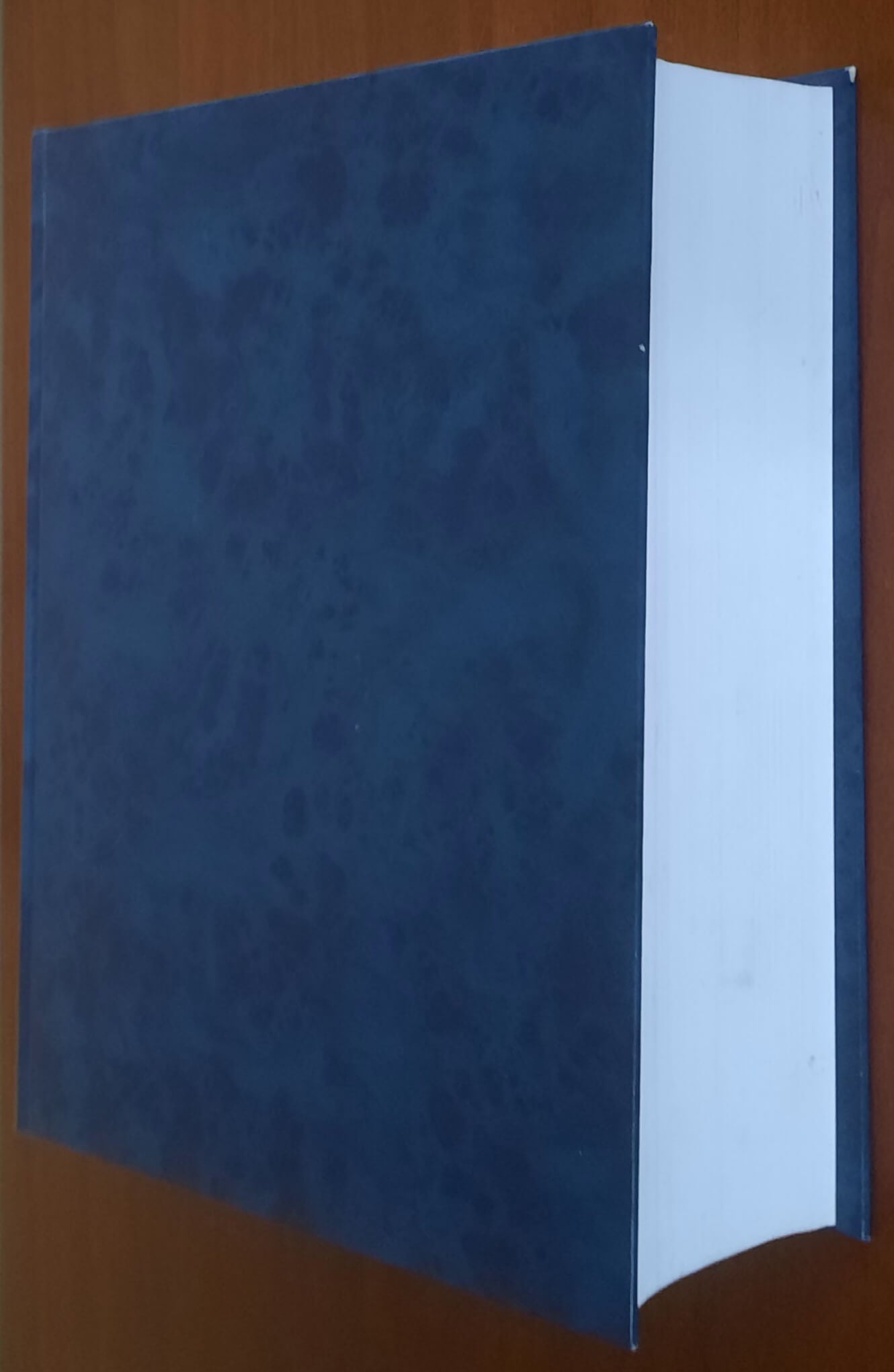 L'industria laniera in Piemonte nel secolo XIX