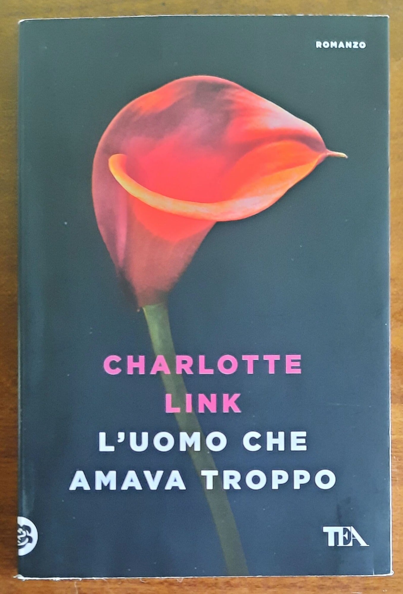 L’uomo che amava troppo - di Charlotte Link