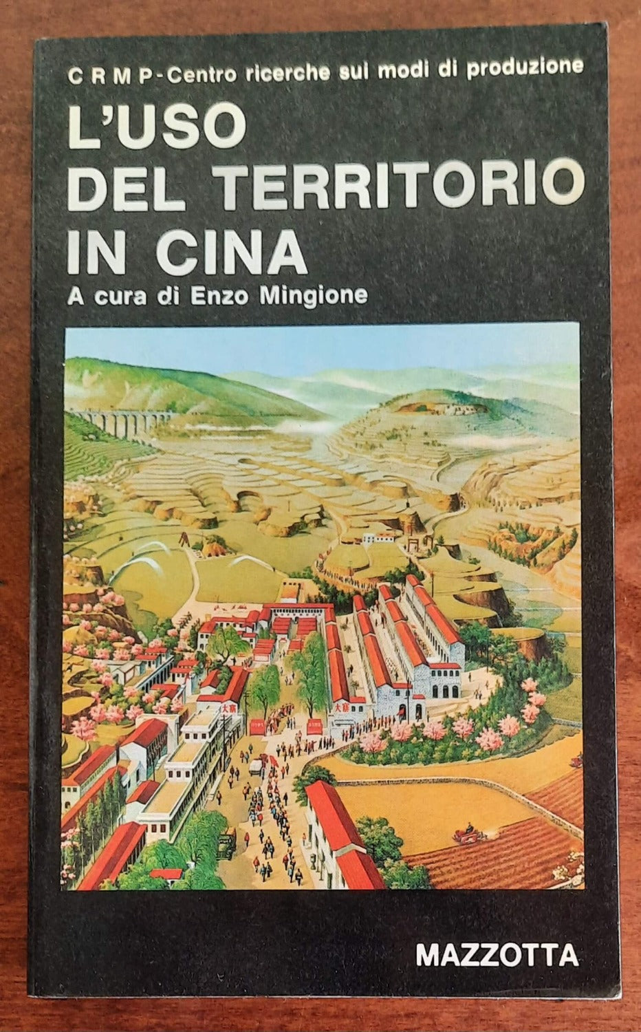 L’uso del territorio in Cina - Mazzotta Editore