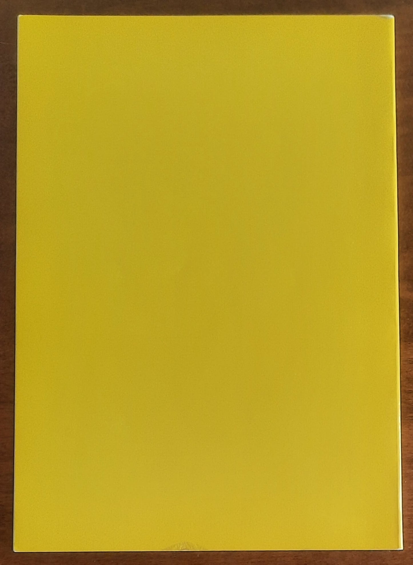 La Bianca Signora di Fatima - di Paolo Liggeri