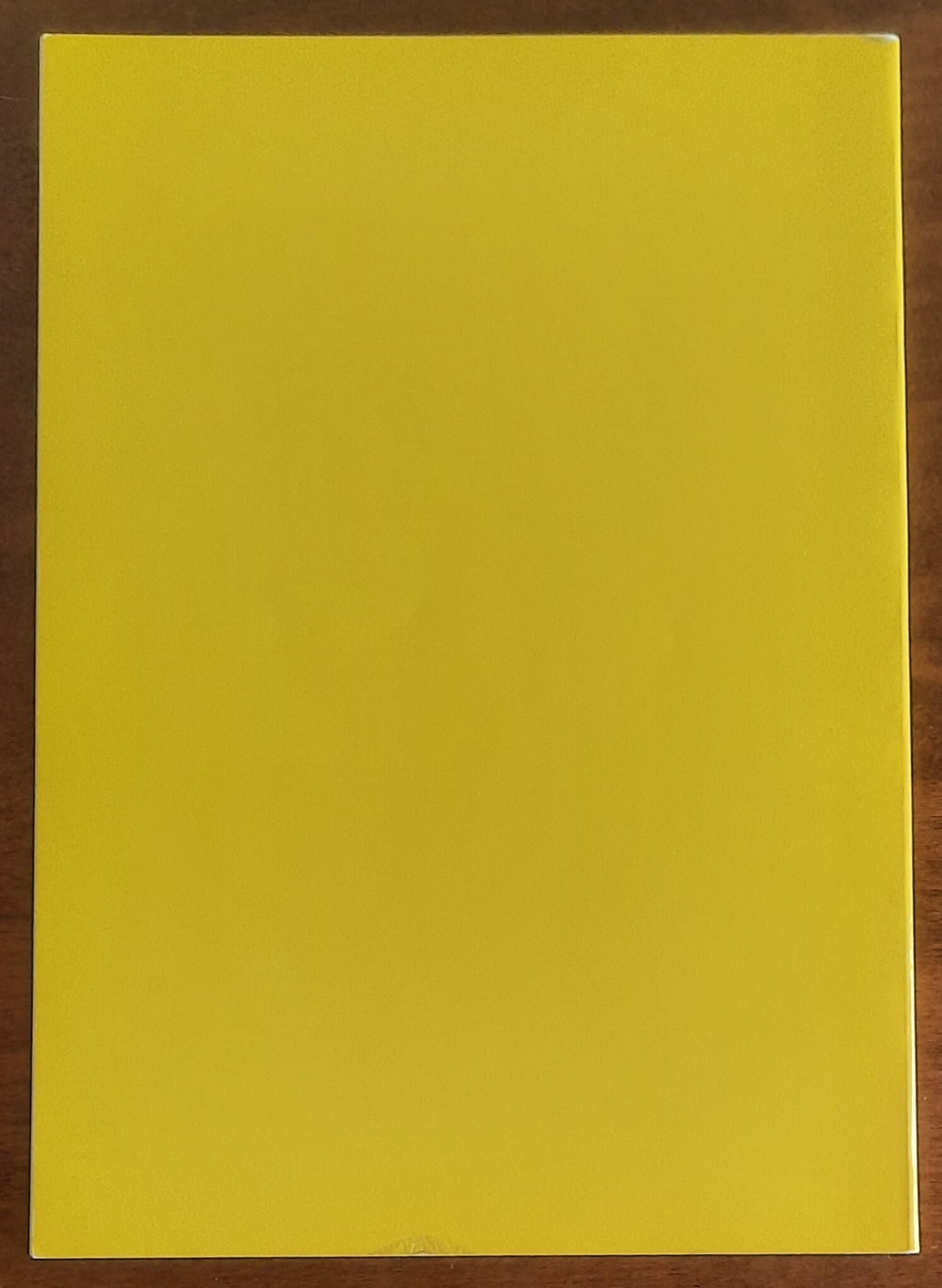 La Bianca Signora di Fatima - di Paolo Liggeri