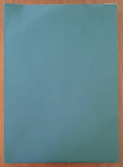 La Cassa di Risparmio di Biella nei suoi primi cento anni (1856 - 1956)