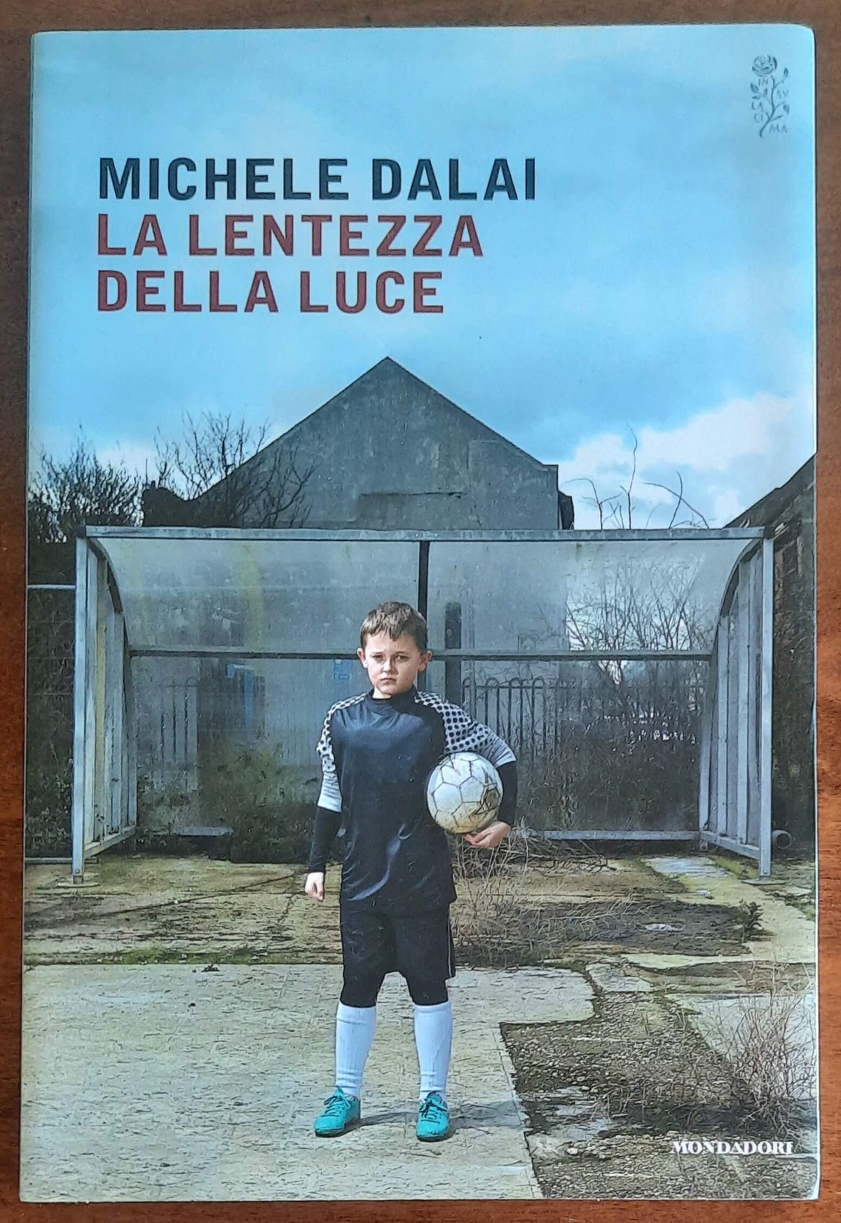 La lentezza della luce - di Michele Dalai