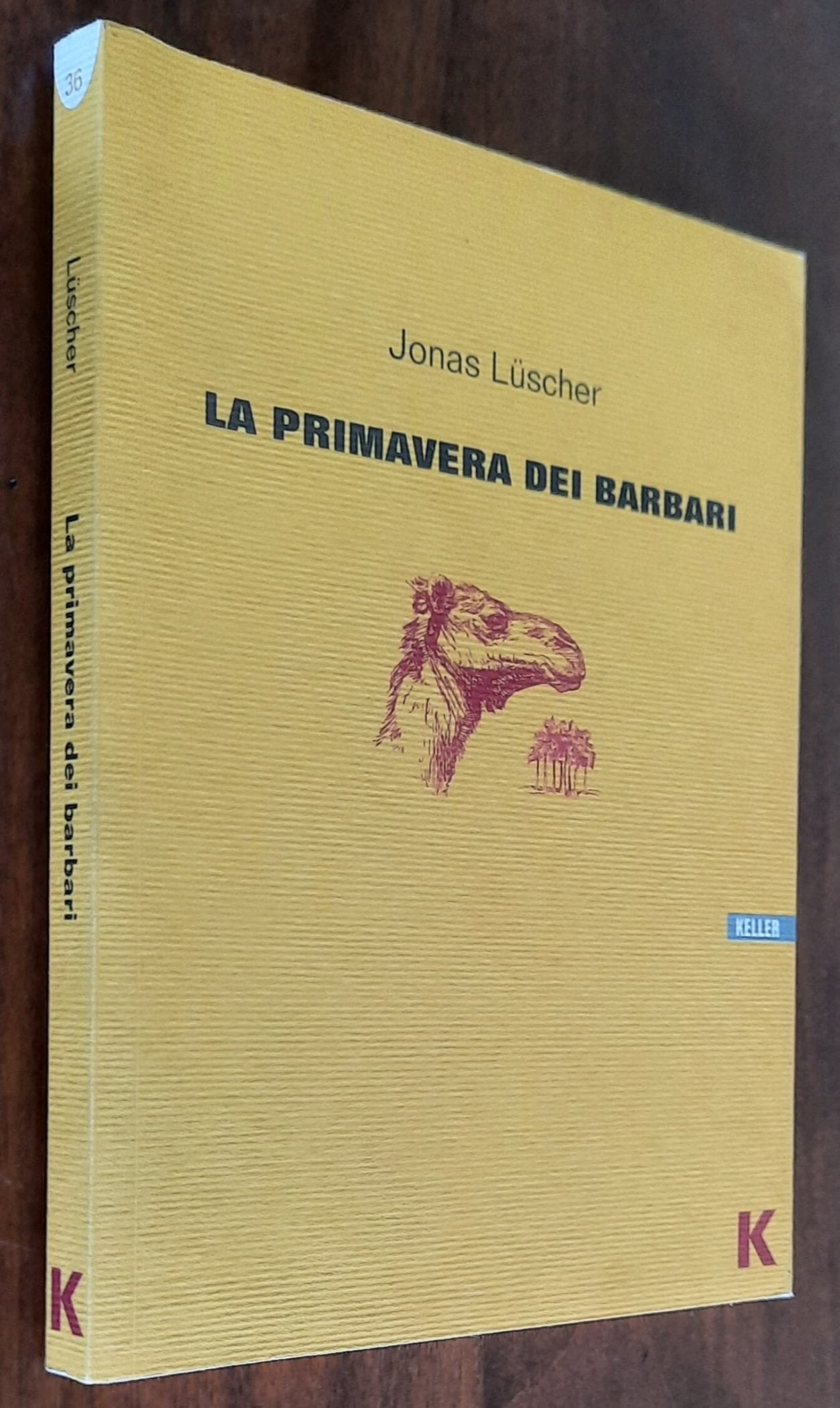 La primavera dei barbari - di Jonas Luscher