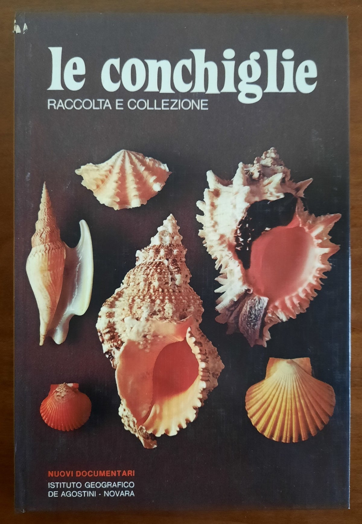 Le conchiglie. Raccolta e collezione
