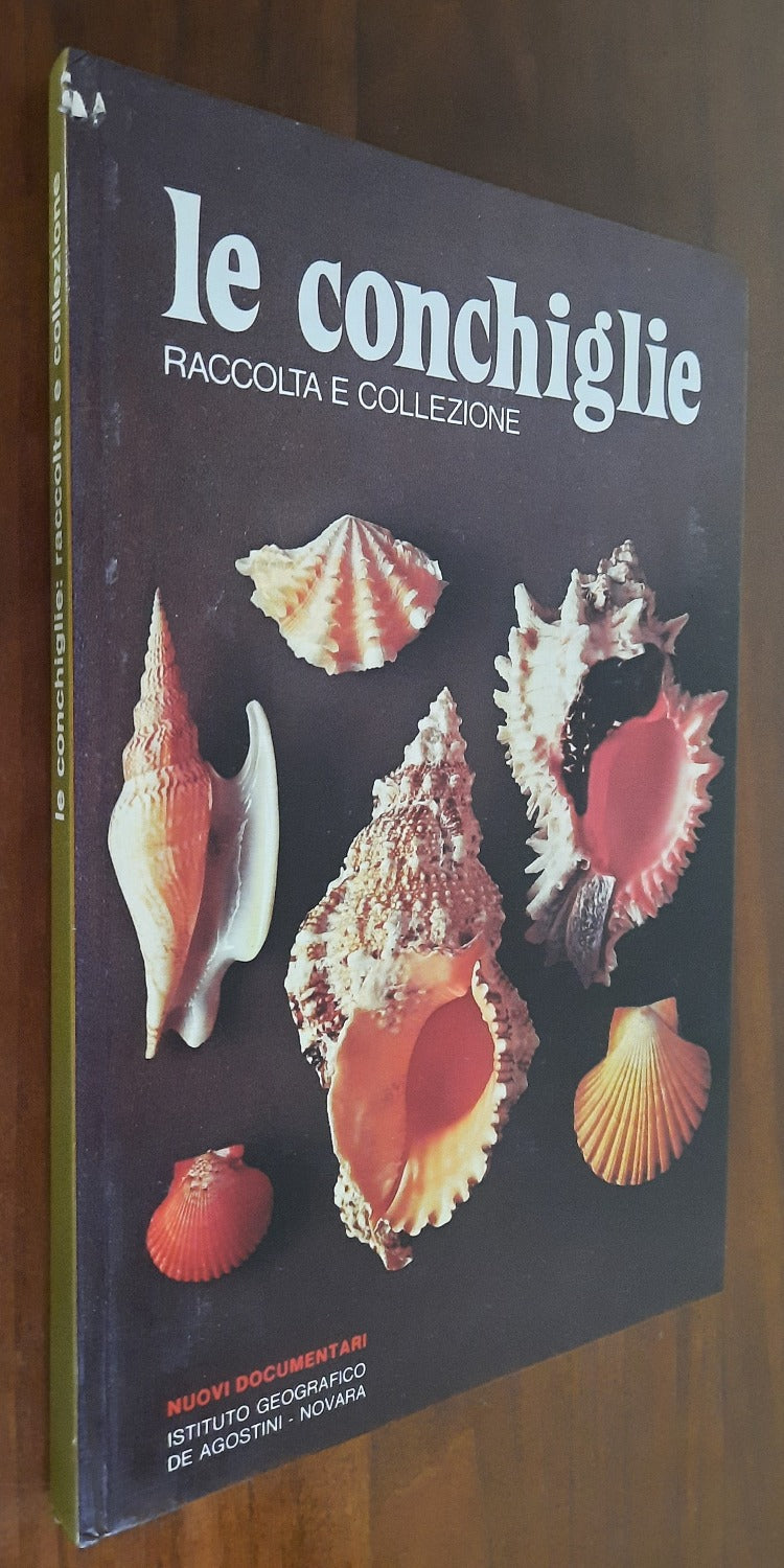 Le conchiglie. Raccolta e collezione