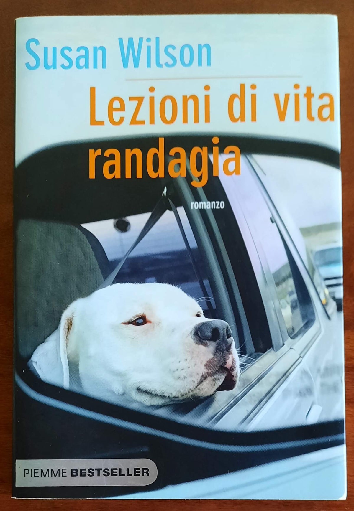 Lezioni di vita randagia - di Susan Wilson - Piemme